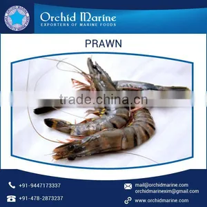 Enhanced Shell Life Frozen Jumbo Prawns Available at Market Leading Prices thumbnail-1