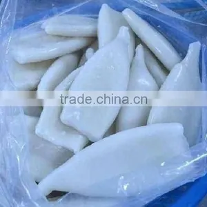Suqid Tube of Frozen Giant Squid thumbnail-1