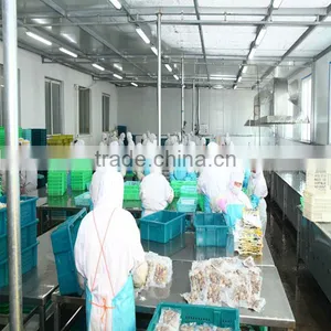 VACCUM CLAM FROM CHINA FOR EXPORT thumbnail-2
