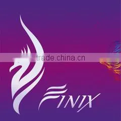 Finix Industrial Co., Ltd. company overview - view 1 thumbnail