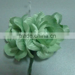 USA Rose thumbnail-1