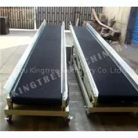Coconut Conveyor Machine thumbnail-1