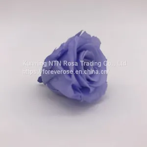 Top Festival Party Decoration Preserved Flower Supplier thumbnail-5