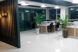 Shandong Senxin Trade Co., LTD company overview - view 1 thumbnail