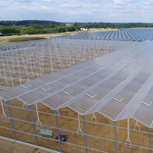 PC Hollow Sheet Multispan Commercial Greenhouse for Agriculture thumbnail-1