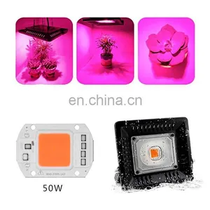 AC 110V 220V LED COB Chip Full Spectrum 50W For Indoor Plant Growth thumbnail-7
