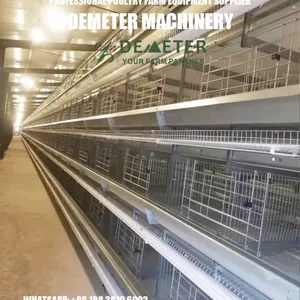 Layer Chicken Cage for Sale in Nigeria thumbnail-4