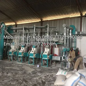 Small Grinder Machine Automatic Maize Corn Grain Milling Machine Grinding Equipment thumbnail-4
