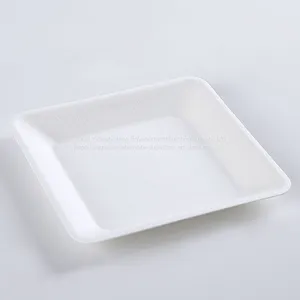 Disposable Biodegradable 6 INCH Square Plate Take Away Sugarcane thumbnail-1