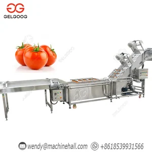 Tomato Sauce Equipment Complete Ketchup Production Line Tomato Puree Maker Tomato Paste Processing Plant Cost thumbnail-2