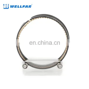2M5014 Wellfar Pass 201 3.3L Engine Piston Rings 93mm For Chrysler Engine Parts thumbnail-4