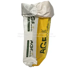 Manufactures Bbq Coal Barbeque Charcoal Briquettes Packaging Kraft Paper Bags for Sale thumbnail-2