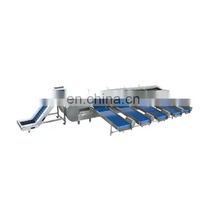 Date Sorter / Walnut Sorter /roller Model 5 Grade Date Sorting Machine thumbnail-4