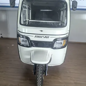Hot Selling Safety and Best Price Four People Closed Electric Passenger Tricycles TUK Tuk Keke With Air-conditioner and Door thumbnail-3