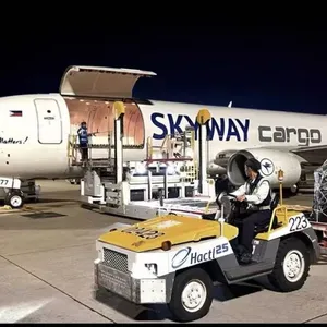 Air Freight/Freight Forwarding/China Import and Export thumbnail-4