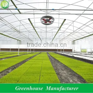 Vegetable Seeds Greenhouse thumbnail-1