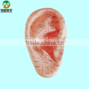 Ear Massage Model 12cm BIX-Y1024 thumbnail-1