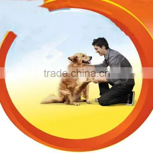 Multi-functional Wide Output Range Extruded Dog Food Production Line in China thumbnail-1