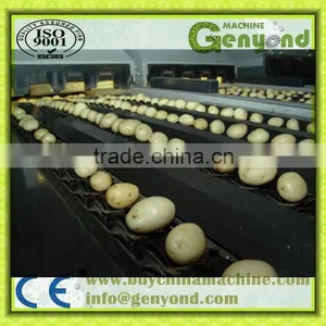 Fruit and Vegetable Grading Machine thumbnail-1