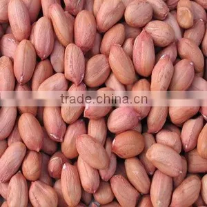 Peanut Kernels thumbnail-1