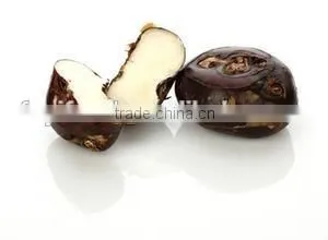 Wholesale Good Fresh Water Chestnut on Sale thumbnail-3