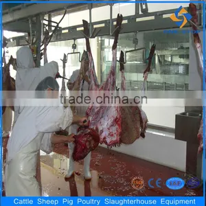 Sheep /goat Ritual Slaughter System thumbnail-6