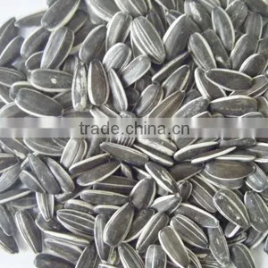 New Crop Chinese Sunflower Seed 5009/3638/0409 on Promotion for Sale thumbnail-1