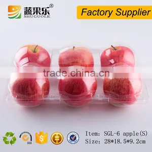 6 Cells Plastic Fruit Packaging Apple Containers thumbnail-1