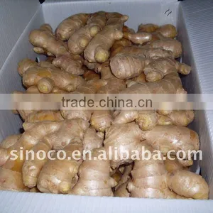 Air Dry Ginger (250g) thumbnail-1