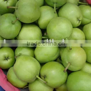 Green su Pear thumbnail-1