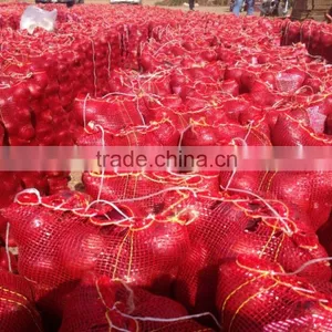 LOWEST PRICE / GOOD PRICE RED ONIONS FROM EGYPTIAN FARMER DIRECT thumbnail-6