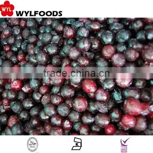 IQF Frozen Blueberry Wild thumbnail-1