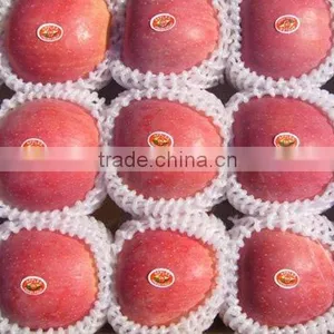 FUJI APPLE thumbnail-1
