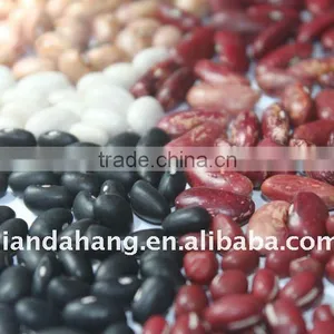 Black Kidney Beans, Black Beans thumbnail-1