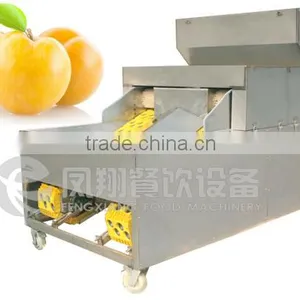 High Quality Plum Stoner, Plum Pitter, Plum Corer With CE Certificated thumbnail-6