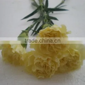 Fresh Cut Flower Carnation All Colour Mother's Day thumbnail-3