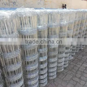 Grassland Field Fence/ Hot Galvanzied Hinge Joint Knotted Animal Field Fencing Factory thumbnail-5