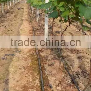 Grape Drip Irrigation for Orchard thumbnail-3