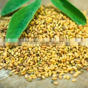 Fenugreek thumbnail-3