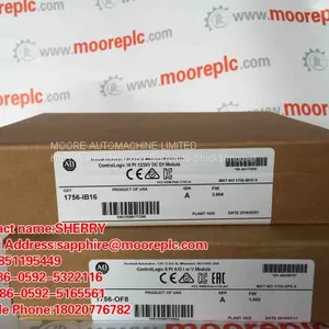 Allen Bradley 1746-OBP8 В НАЛИЧИИ thumbnail-3