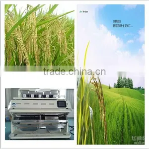 MIngder Millet/Sorghum Rice Color Sorter Machine With Competive Price thumbnail-6