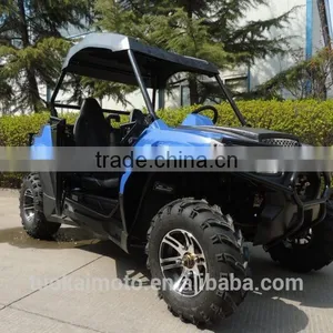250cc Automatic 2WD Transmission go Kart/ Sport UTV (TKG200-A2) thumbnail-3