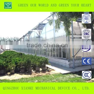 High Quality Long Lifetime Steel OEM Agricultural Greenhouse thumbnail-4