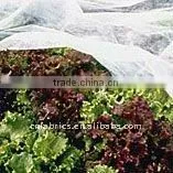 Polypropylene Covers thumbnail-1