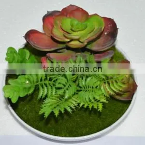 SJ3001011 Indoor Mini Bonsai Cactus Plant Artificial thumbnail-5