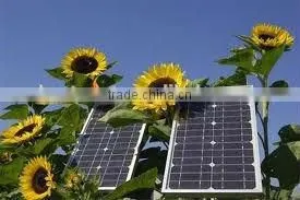 Solar Freezer System 30W thumbnail-5