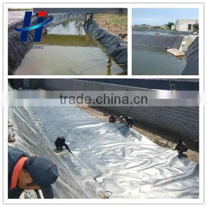 Geomembrane Used in Ornamental Lake Anti-seepage thumbnail-1