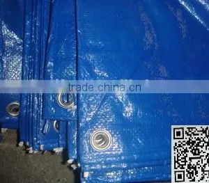 Blue Color Heavy Duty Waterproof pe Tarpaulin for Sale thumbnail-1
