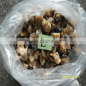 Best Seafood and Conch Meat for Sale thumbnail-1