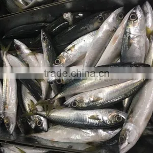 Chinese Frozen Seafood/Frozen Fish Factory thumbnail-4